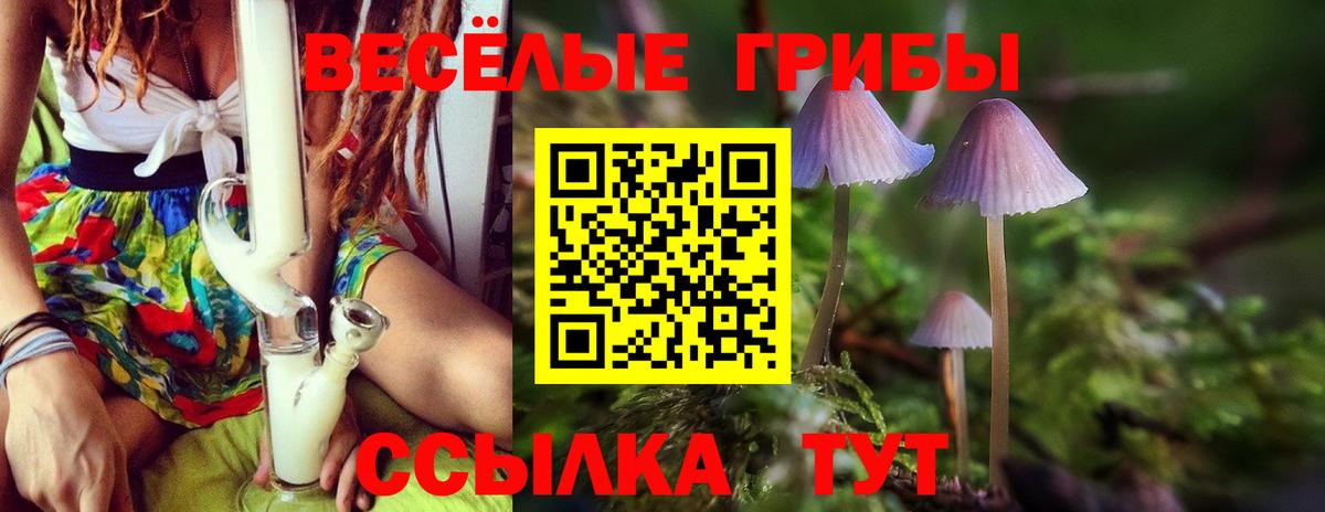 Галлюциногенные грибы Psilocybine cubensis Железногорск