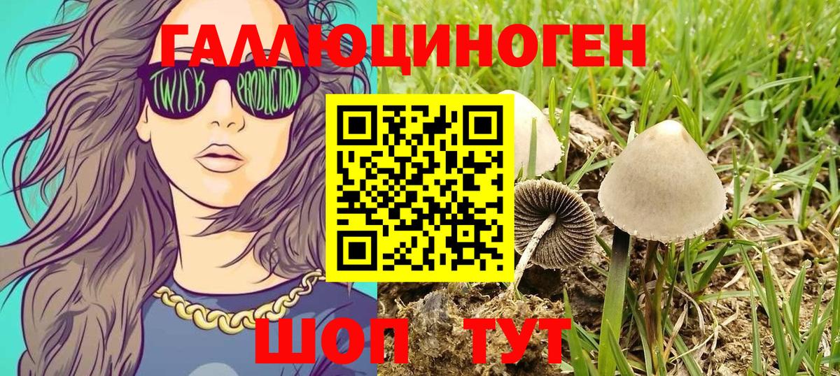 цены   Псилоцибиновые грибы Psilocybe  Вход с VPN  Железногорск  Псилоцибиновые грибы MAGIC MUSHROOMS 